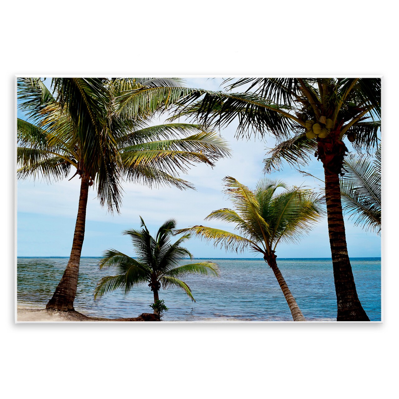 Stupell Industries Honduras Daytime Palms Wall Plaque, design by Natalie Carpentieri